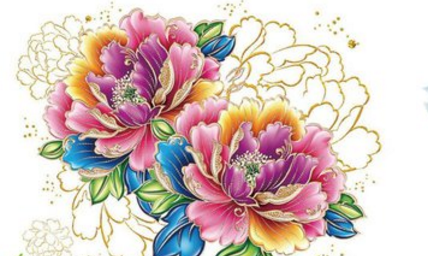 古代对牡丹的雅称（古代对牡丹花的别称）