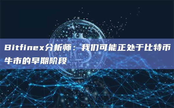 Bitfinex分析师：我们可能正处于比特币牛市的早期阶段