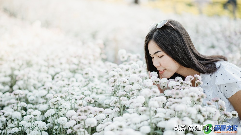 凌波仙子是什么花（凌波仙子是哪种花的别称）