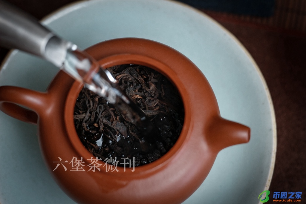 六堡茶的正确泡法（六堡茶的功效与作用）