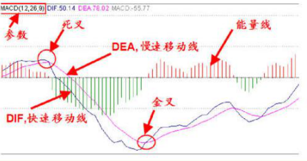 macd指标怎么看(外汇macd指标怎么看)