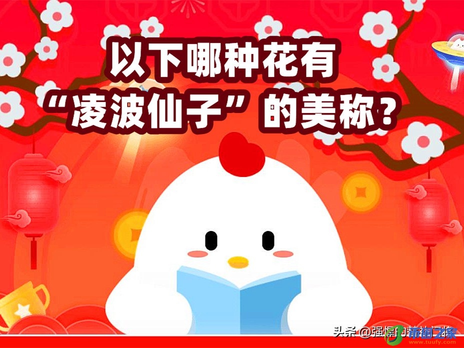 凌波仙子是什么花（凌波仙子是哪种花的别称）