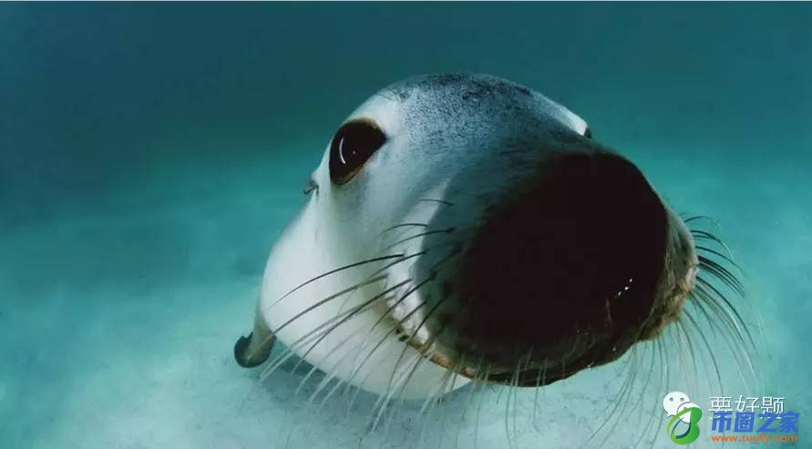 睾丸的拼音怎么读(溃疡怎么读)