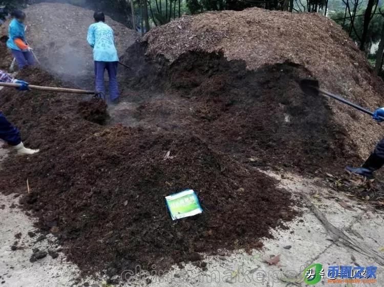 放线菌的繁殖方式（放线菌的繁殖方式主要是颜值）