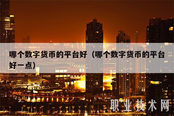 哪个数字货币的平台好（哪个数字货币的平台好一点）