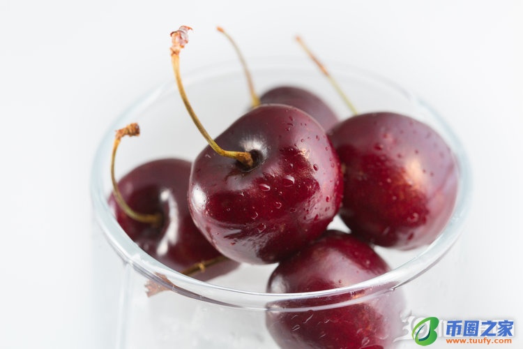 车厘子和樱桃区别(车厘子樱桃区别的功效和作用)