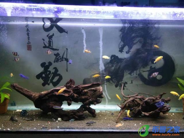 色母片是什么东西（色母片是什么东西代替品）