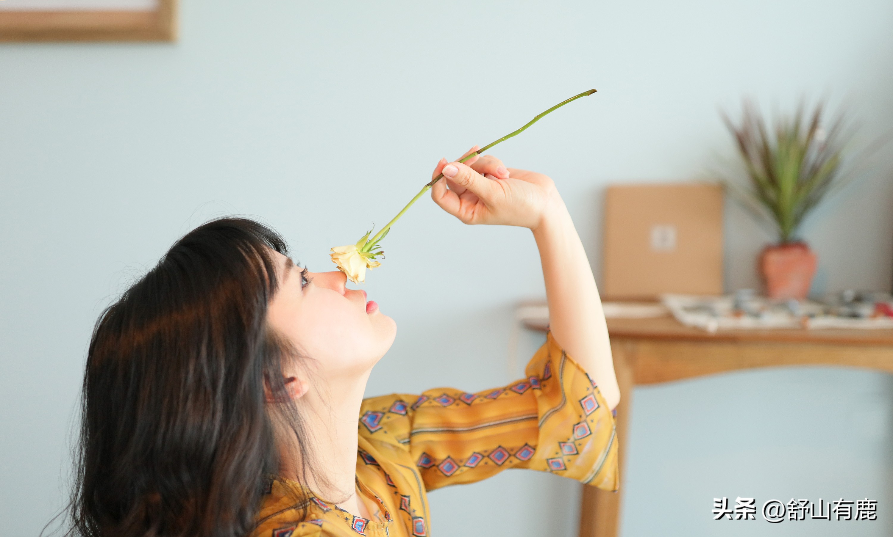 47年属什么生肖（48年属什么生肖）