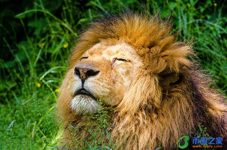 日加一笔是什么字（主加一笔是什么字）