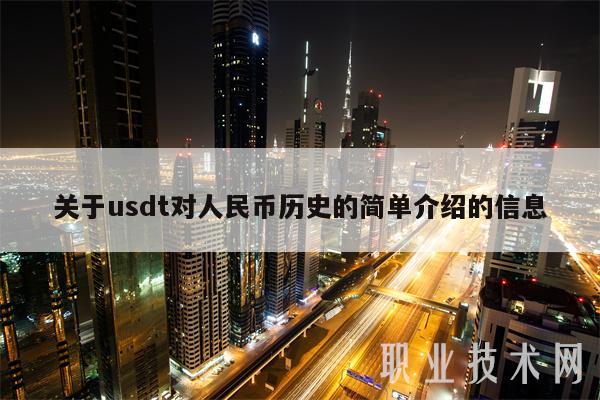 关于usdt对人民币历史的简单介绍的信息