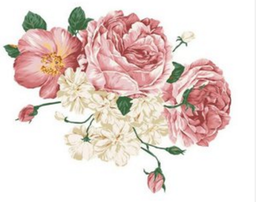 古代对牡丹的雅称（古代对牡丹花的别称）