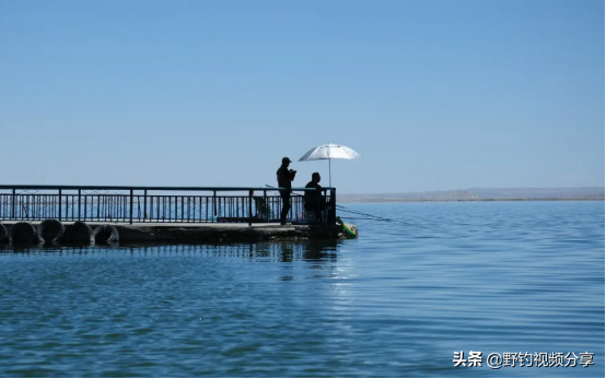 新鲜的大鱼在哪钓（钓大鱼用什么鱼饵最好）