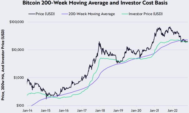 方舟Ark Invest：网络活动展现更多转好迹象