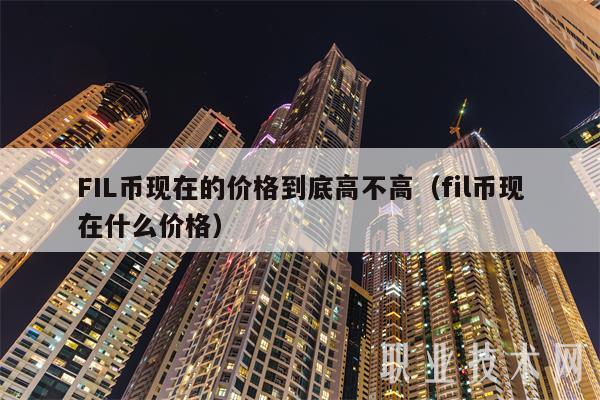 FIL币现在的价格到底高不高（fil币现在什么价格）