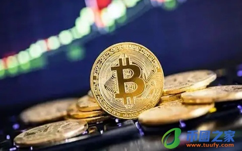 怎么查询自己的比特币(怎么查询自己的比特币交易记录)