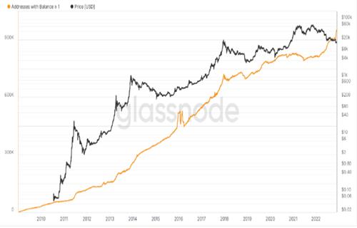 比特币百万富翁钱包在BTC价格熊市之年下跌80%