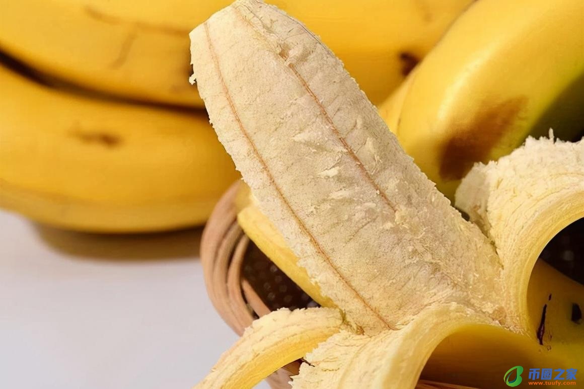 香蕉什么时候成熟（荔枝什么时候成熟）