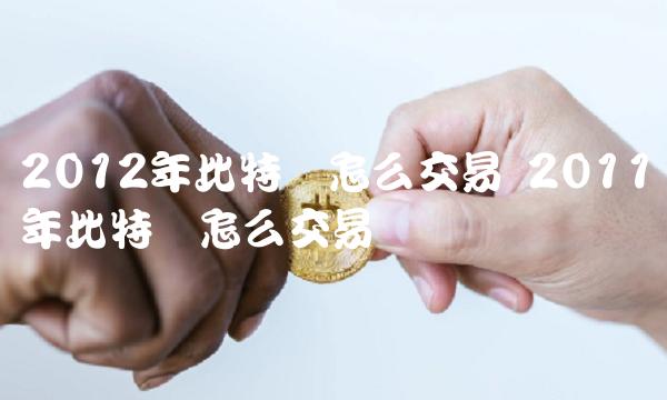 2012年比特币怎么交易