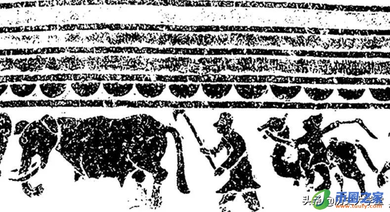 大象代表什么寓意（在泰国大象代表什么寓意）