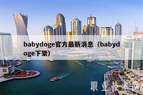 babydoge官方最新消息（babydoge下架）