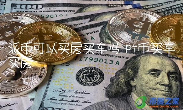 派币可以买房买车吗