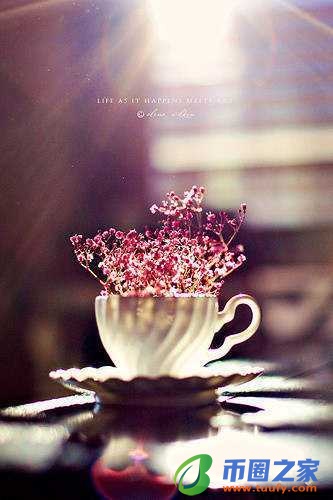 毒鸡汤是什么意思(毒鸡汤是什么意思网络用语)