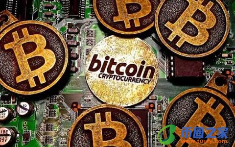 莱特币今日的价格行情美元