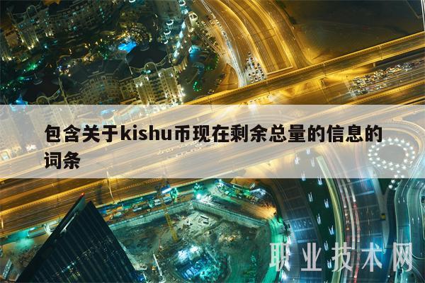 包含关于kishu币现在剩余总量的信息的词条