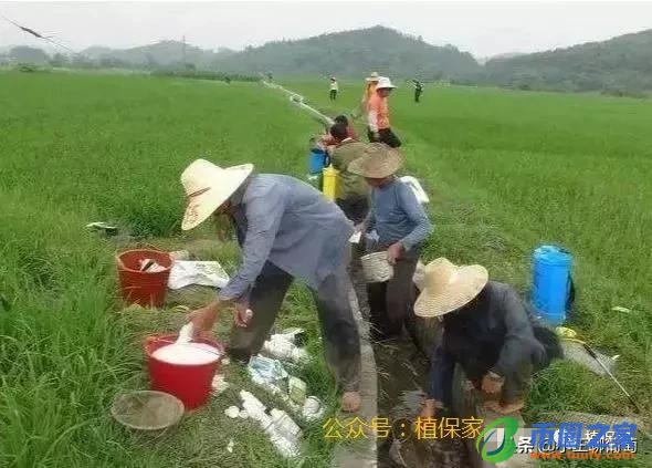 联苯菊酯使用禁忌（联苯菊酯的缺点）