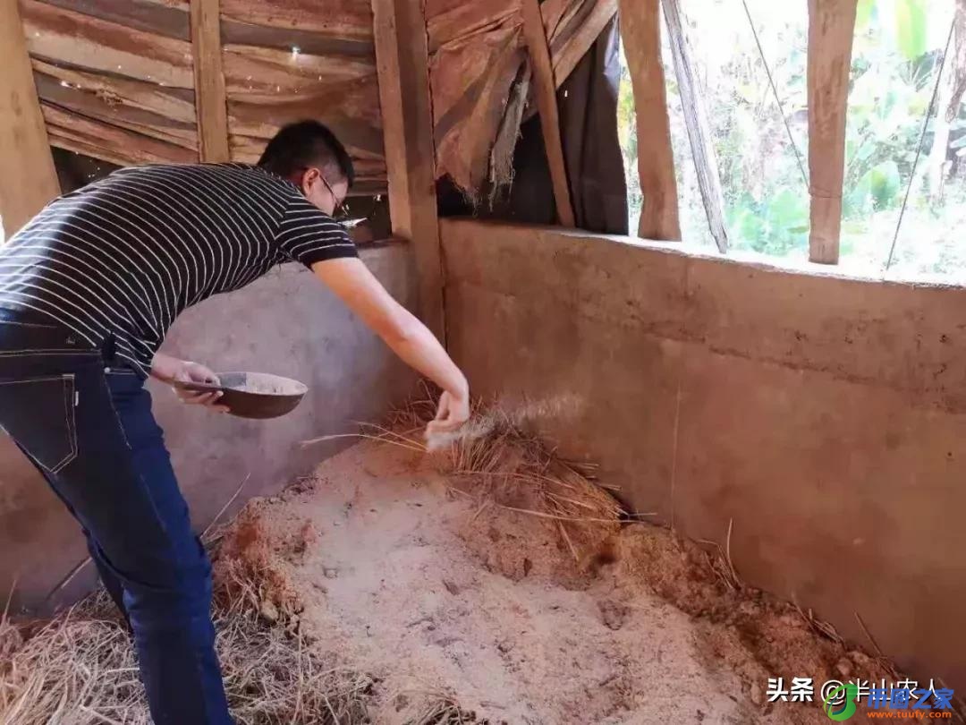 放线菌的繁殖方式（放线菌的繁殖方式主要是颜值）