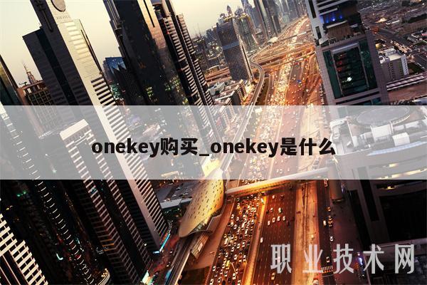 onekey购买_onekey是什么插图 onekey购买_onekey是什么