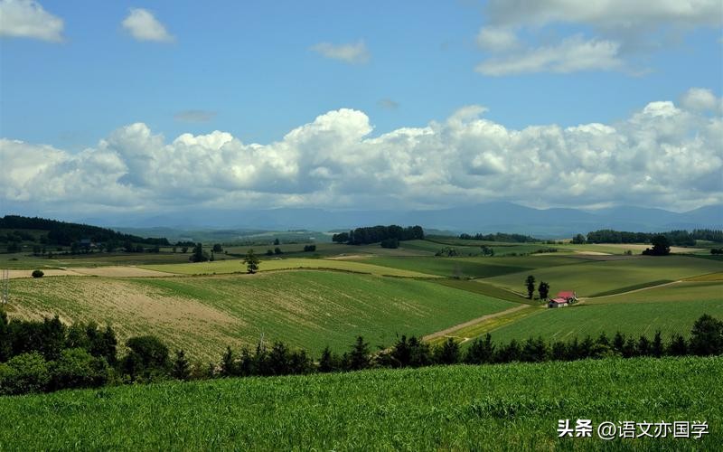 漂浮和悬浮的区别（漂浮和悬浮浮力都等于重力吗）