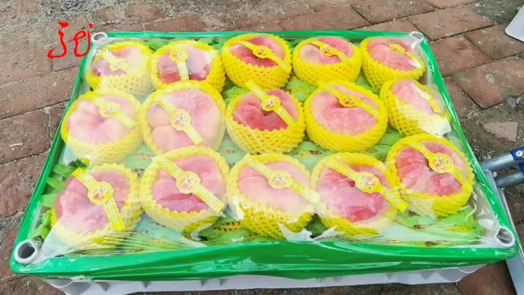 投桃报李意思是什么（李代桃僵的意思）