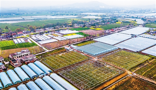 农业税是什么时候取消的（农业税是什么时候取消的呢）