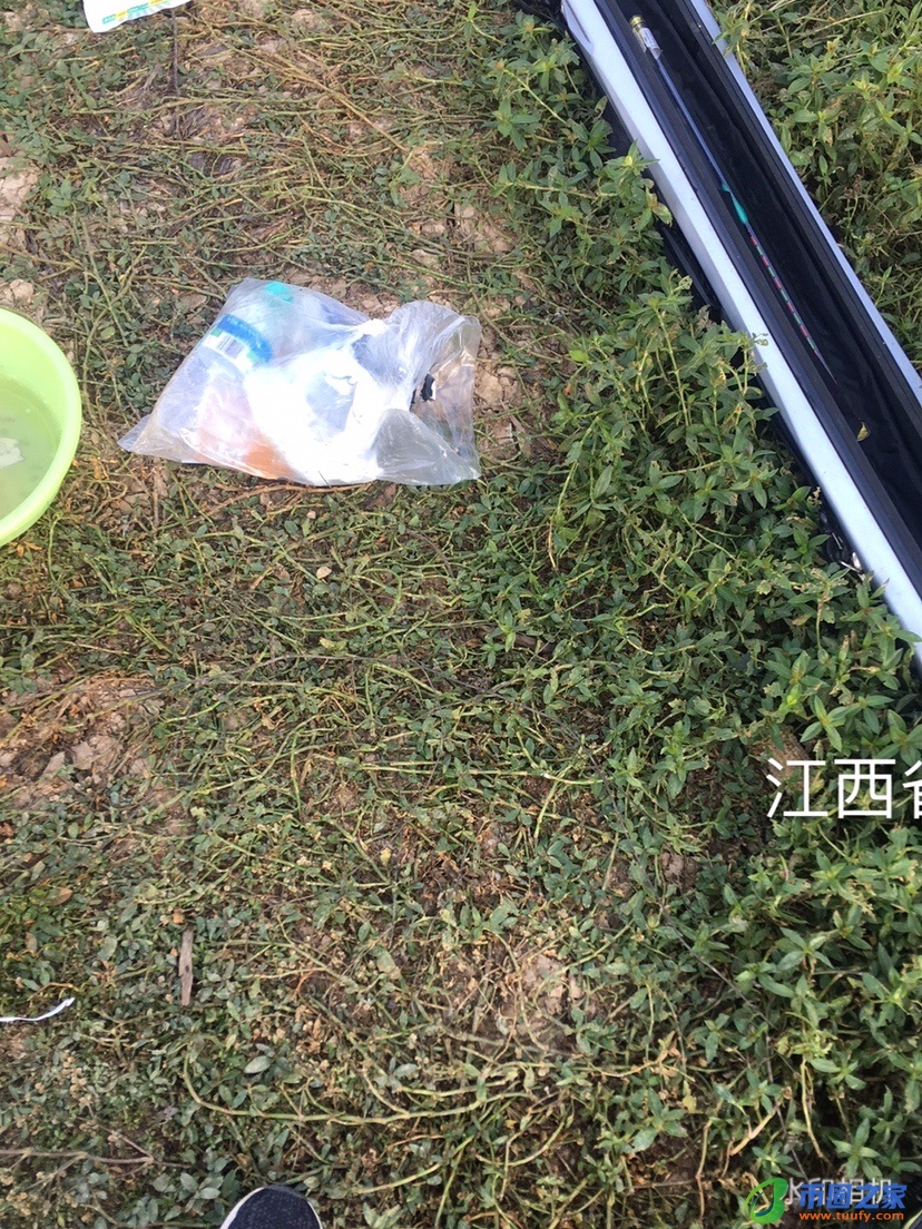 大量诱虾入笼配方（大量诱虾入笼配方大全）17