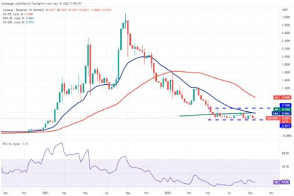 狗狗币今日最新价格 DOGE今日行情K线2 狗狗币今日最新价格 DOGE今日行情K线2