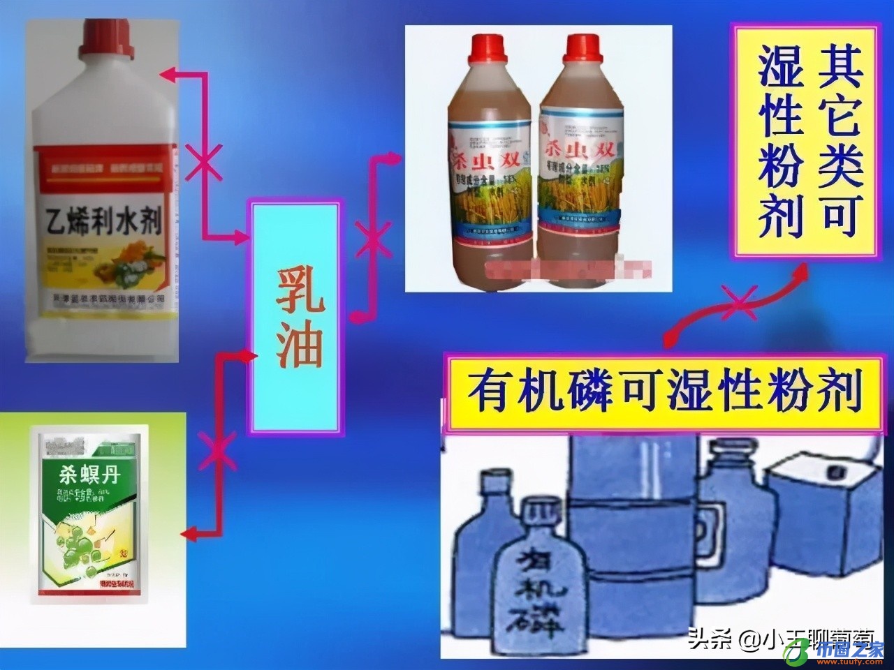 联苯菊酯使用禁忌（联苯菊酯的缺点）