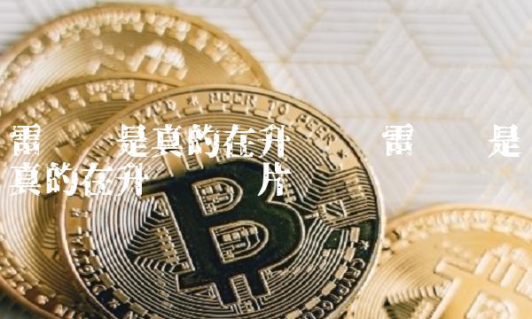 雷达币是真的在升级吗图片