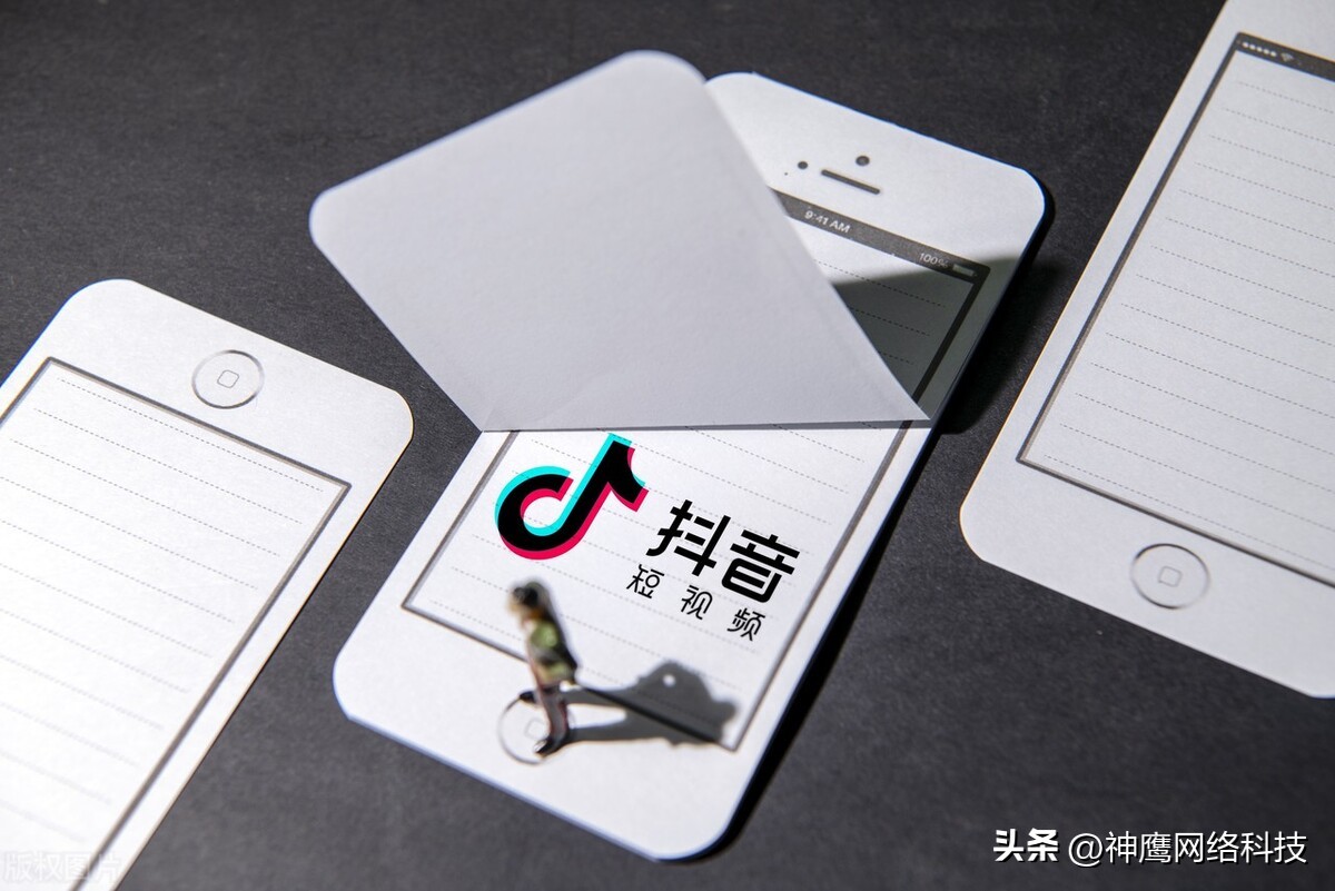 矩阵号是什么意思（矩阵是什么意思图片）