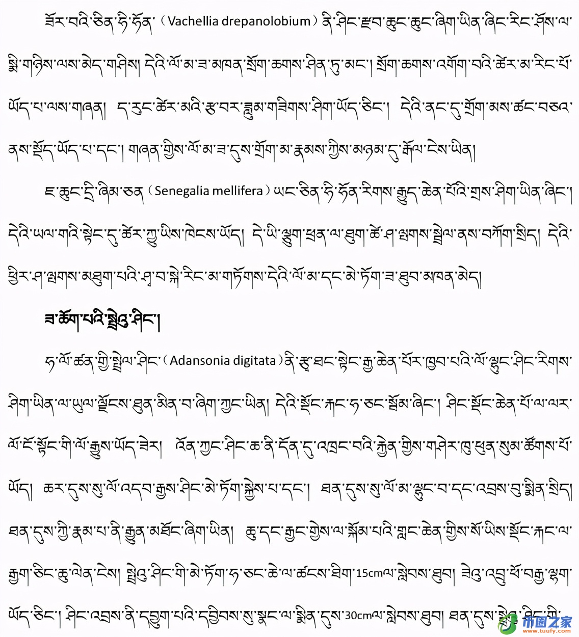 长颈鹿吃什么食物（长颈鹿吃什么食物为生）