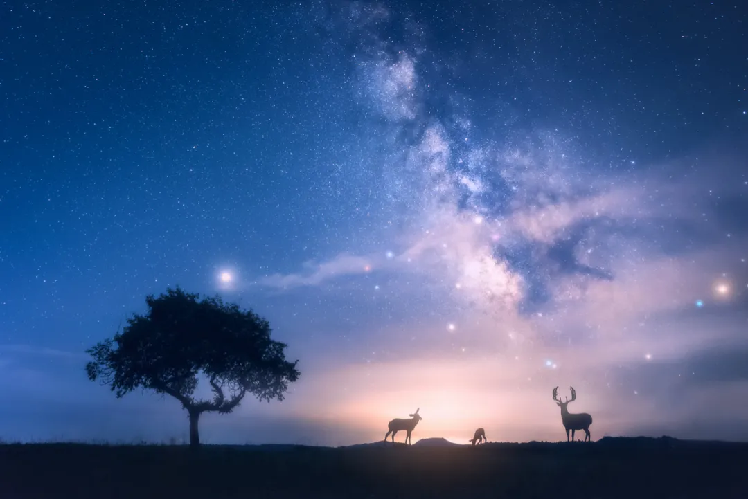 虽则如云匪我思存（虽则如云匪我思存诗经）