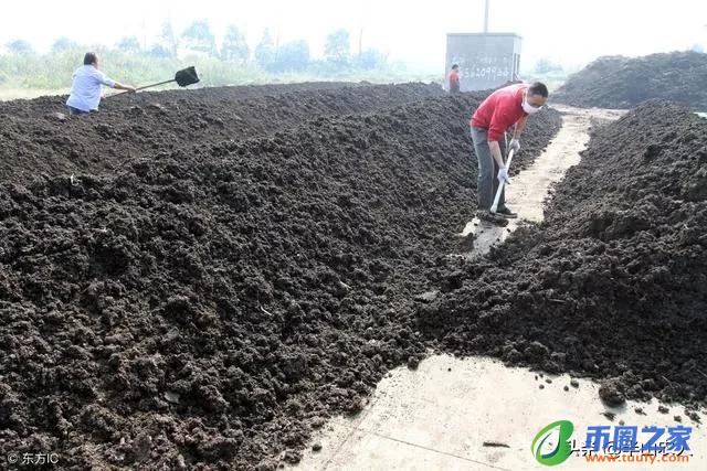 放线菌的繁殖方式（放线菌的繁殖方式主要是颜值）