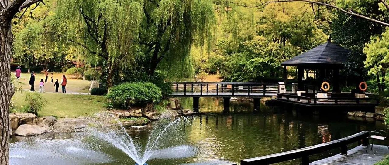 股转（股转债）