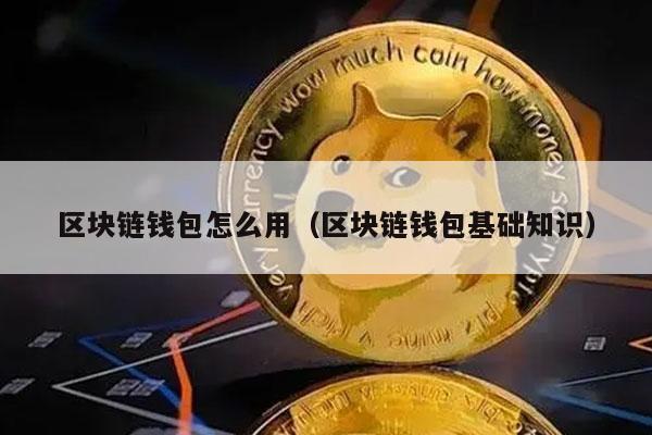 区块链钱包怎么用(区块链钱包基础知识)插图 区块链钱包怎么用(区块链钱包基础知识)