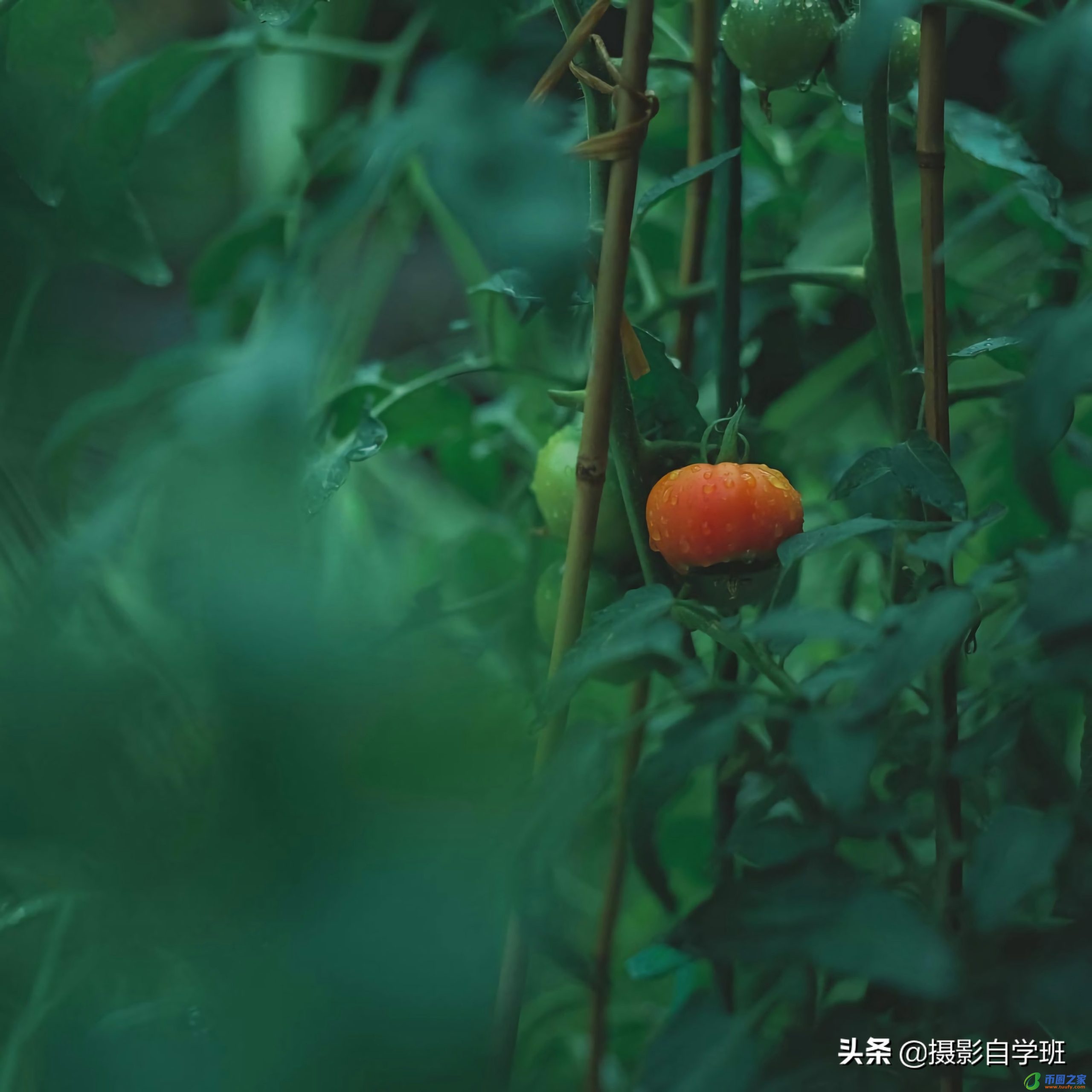 手机下划线怎么打（手机下划线怎么打字加上去）