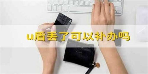 U盾丢了可以补办吗?银行U盾丢了能不能办?