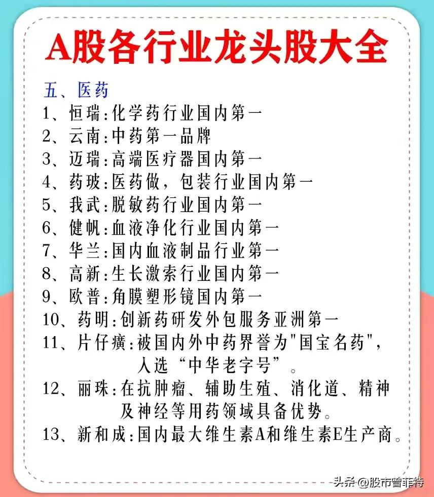 龙头股票有哪些（券商龙头股票有哪些）