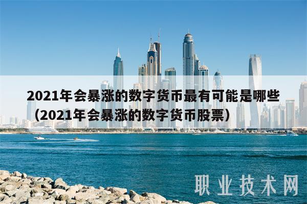 2021年会暴涨的数字货币最有可能是哪些（2021年会暴涨的数字货币股票）