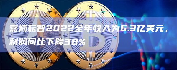 嘉楠耘智2022全年收入为6.3亿美元，利润同比下降38%