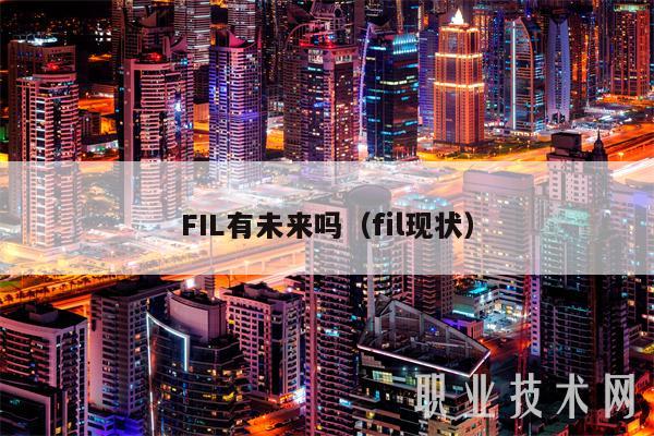 FIL有未来吗（fil现状）
